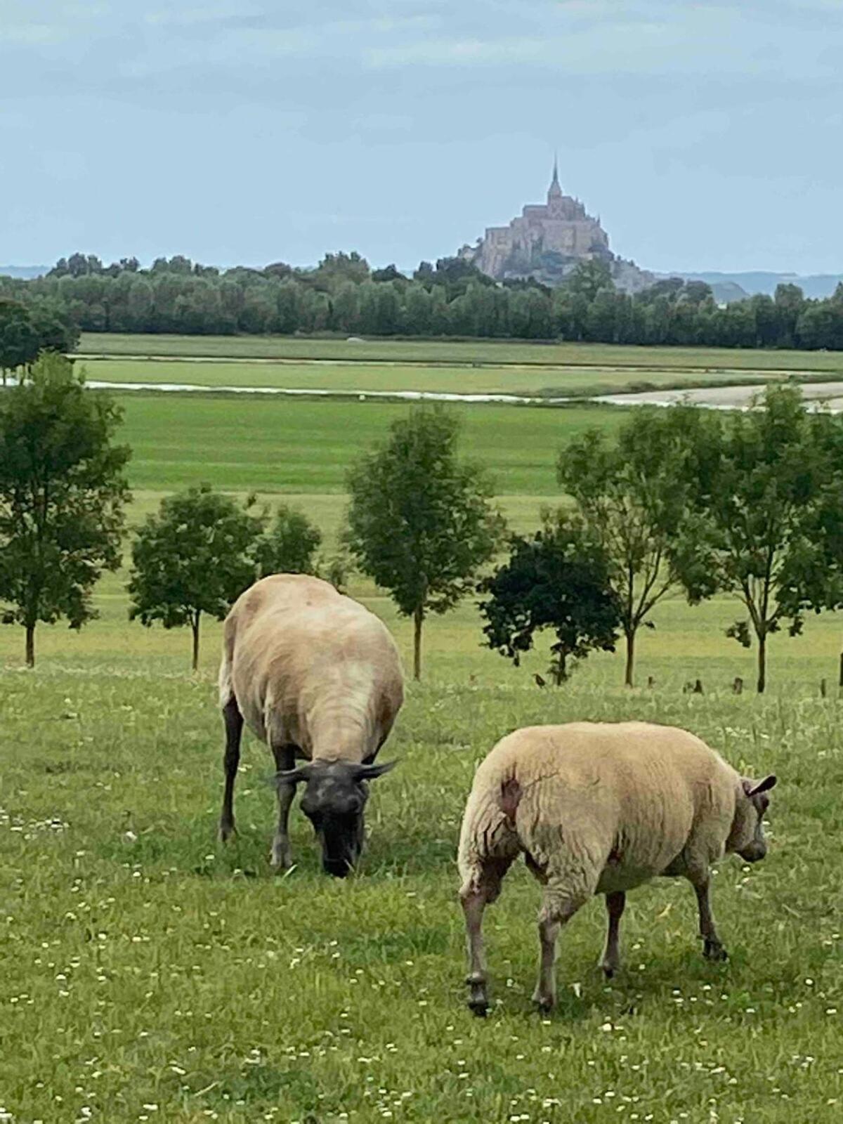 Gites Le Mont Desclos Saint Michel Бовоар Стая снимка